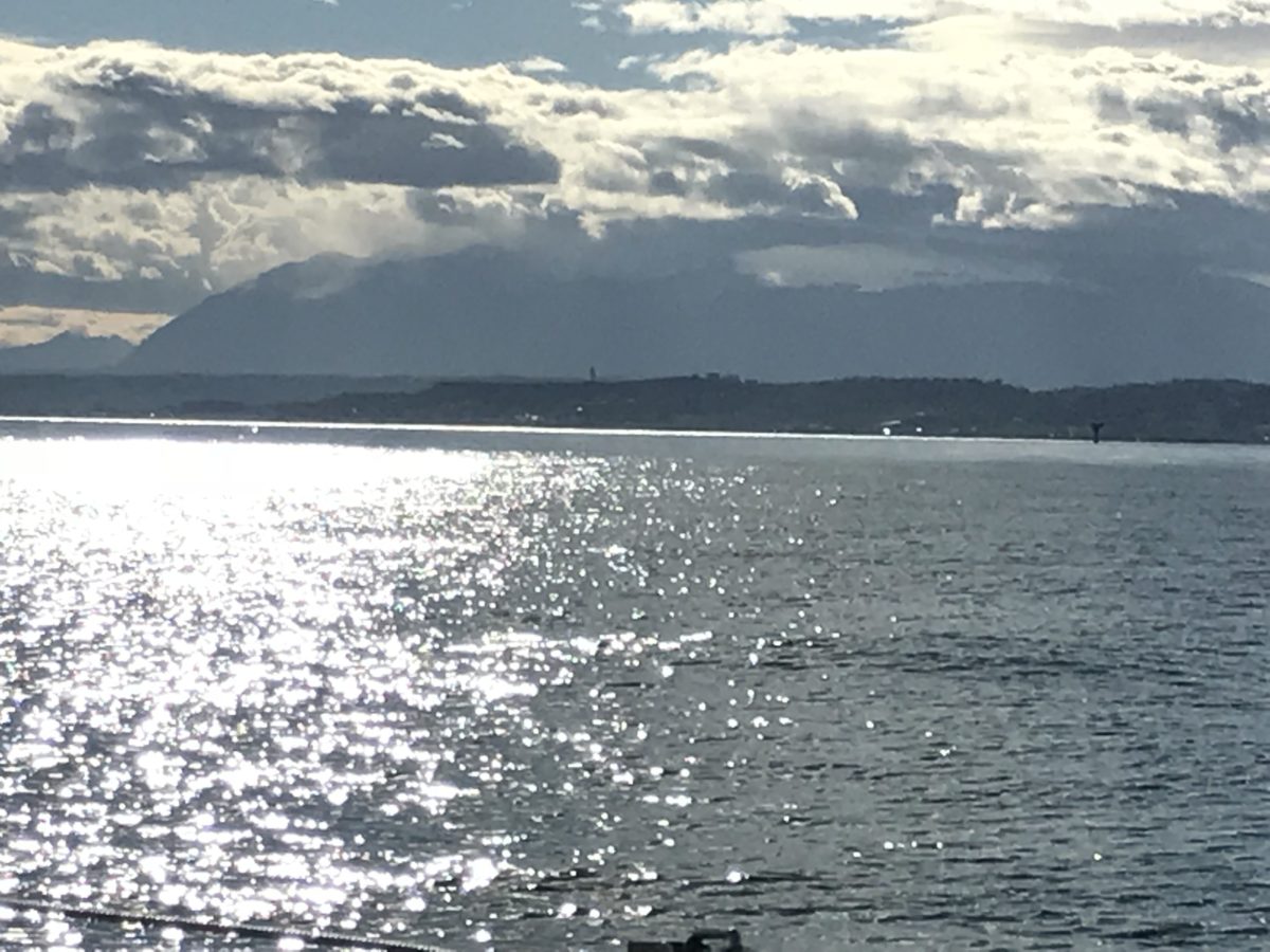 Navigare In Adriatico In Barca A Vela Rotta Nautica Da Civitanova