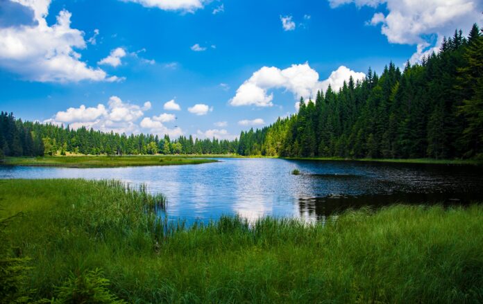 Scopri i migliori laghi per la pesca sportiva in Basilicata!