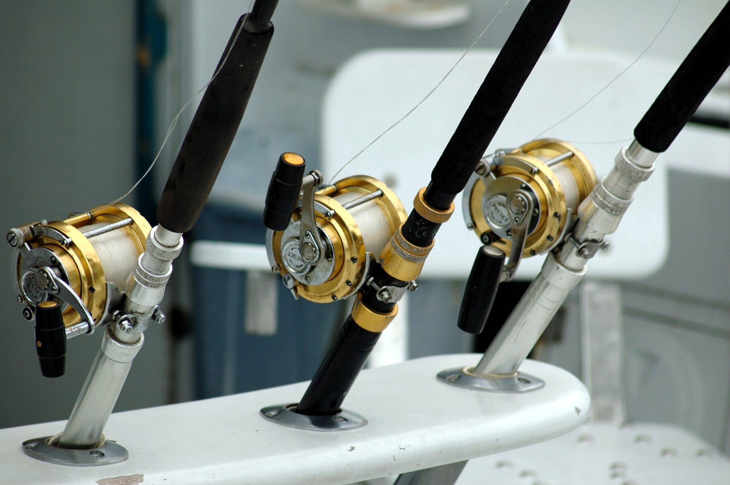 Miglior portacanne da barca: sceglierlo in base alla canna da pesca