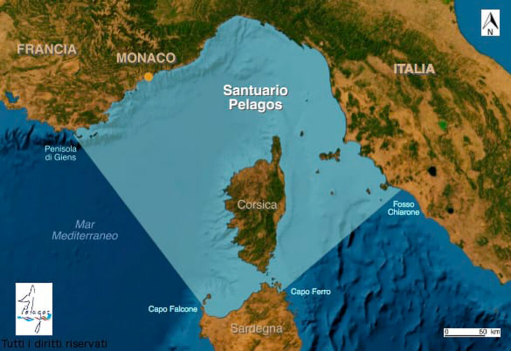 navigare rispettando l'ambiente 